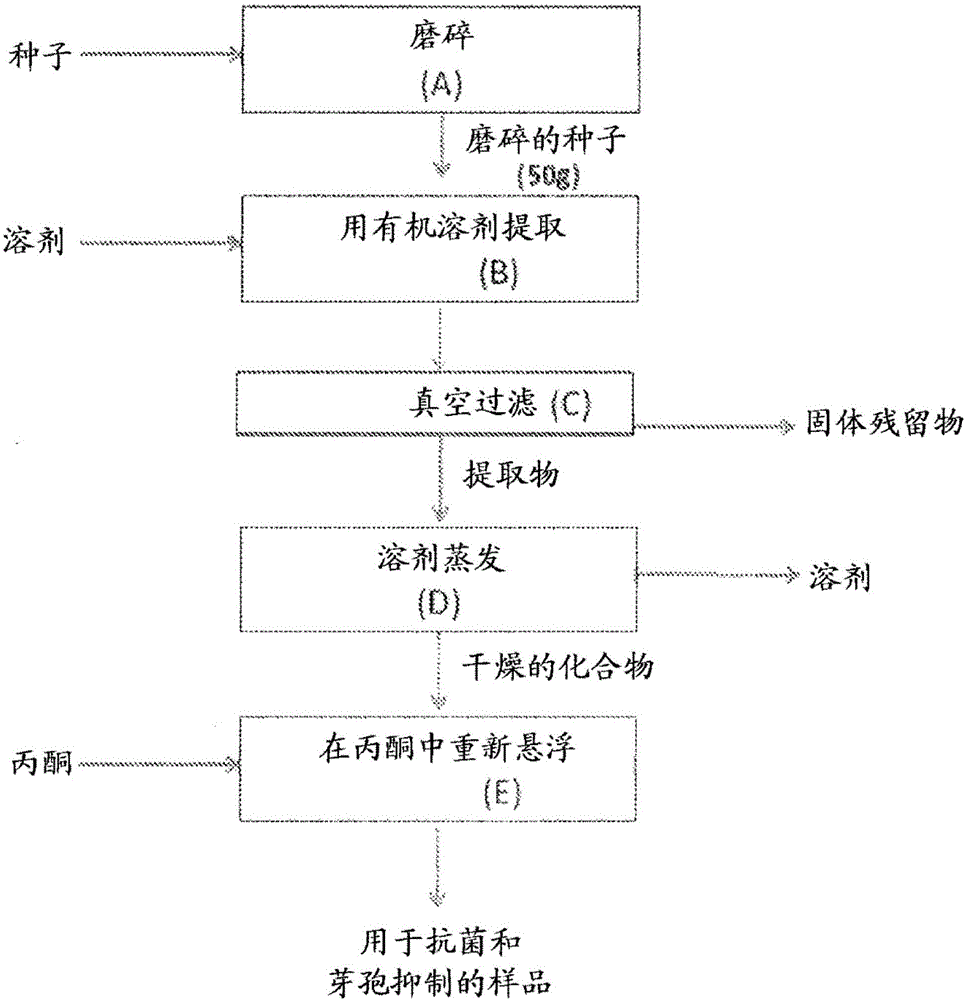 澳门威斯尼斯8883入口