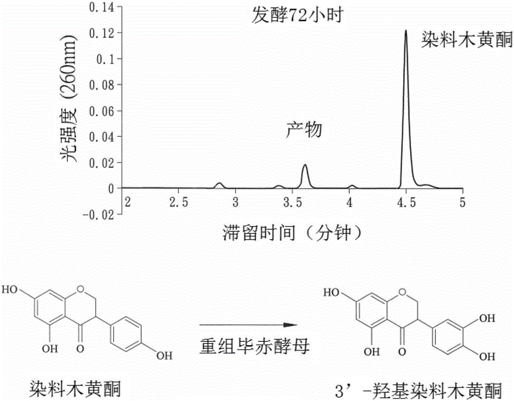 澳门威斯尼斯8883入口