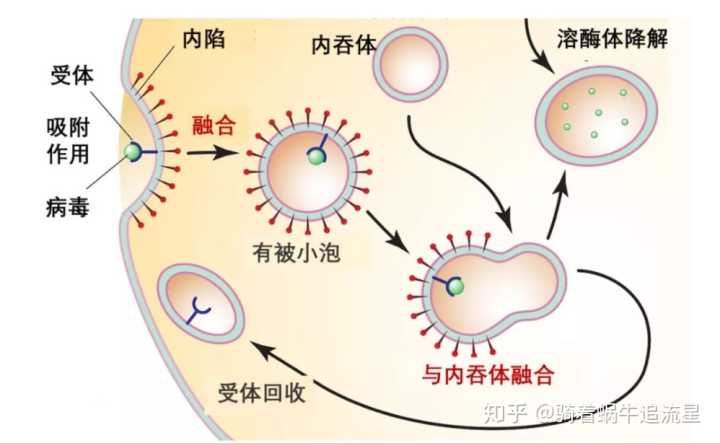 澳门威斯尼斯8883入口