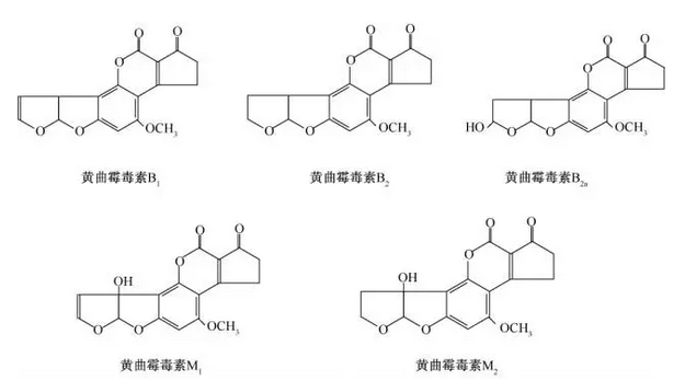 澳门威斯尼斯8883入口